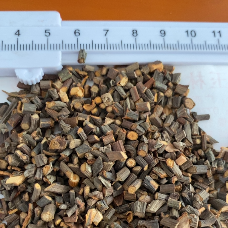 广东桂枝一手货源量大从优规格齐全欢迎来电