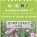 紫罗兰种子四季种易活室内盆栽花卉春季花种子花草春播花籽