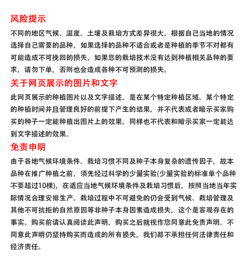 紫罗兰种子四季种易活室内盆栽花卉春季花种子花草春播花籽