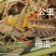搏腾养殖厂狂批：各龄虫及虫卵。新鲜活体、保质保量，诚信发