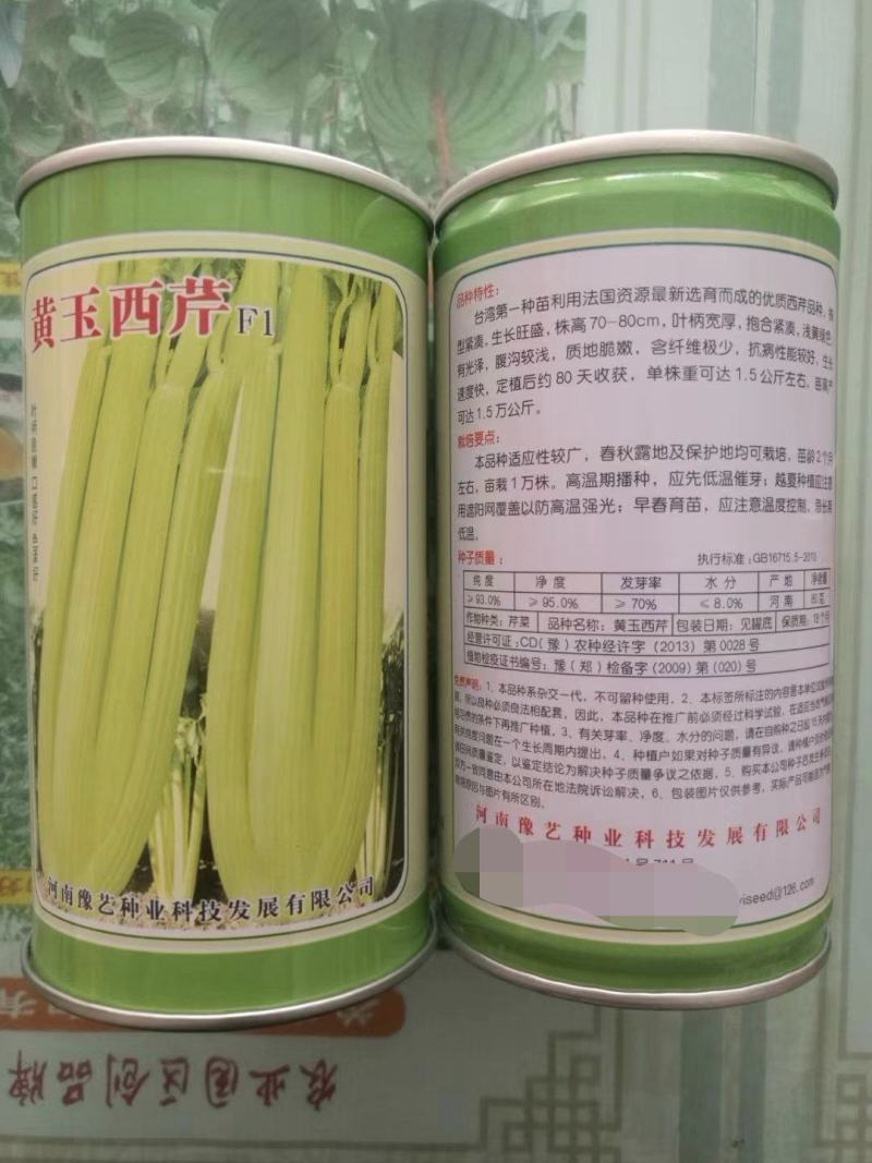 黄玉西芹种子芹菜种子进囗品质抗病生长速度快亩3万斤