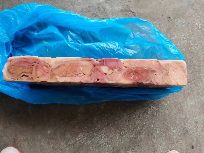 精品猪肚猪副产品品质保证货源充足欢迎进店选购