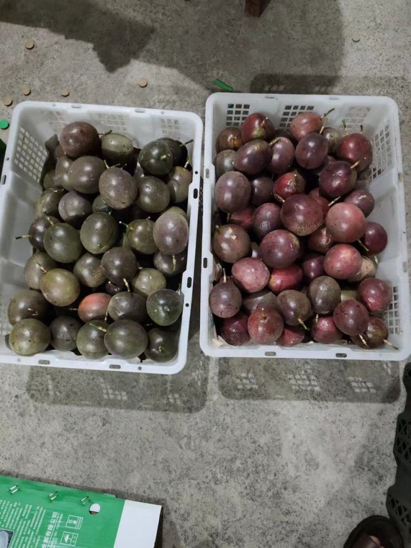 百香果大量上市了