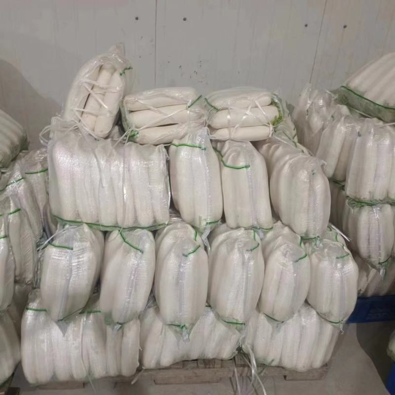 基地直发，精品白萝卜