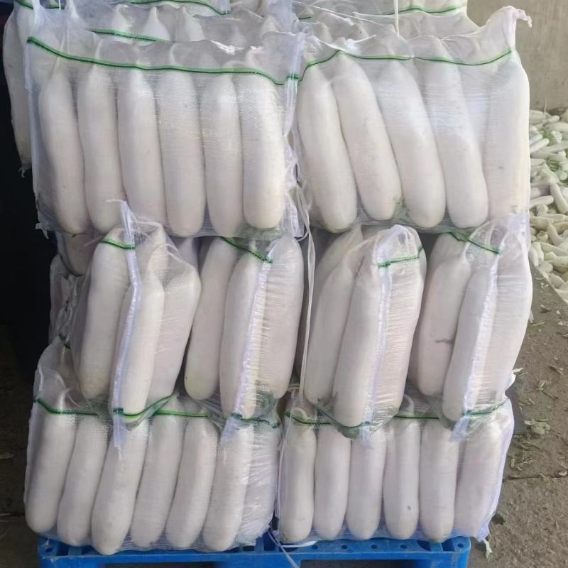 基地直发，精品白萝卜
