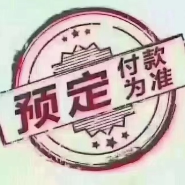鸵鸟蛋