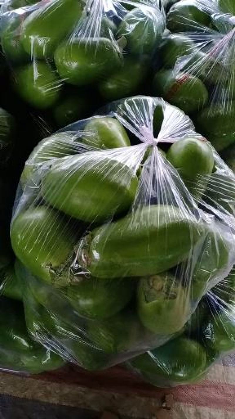【精品】产地直供青茄子货源充足对接各级客商欢迎咨询