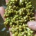纯绿豆淀粉，传统酸浆发酵提取淀粉，自然沉淀，无任何添加剂