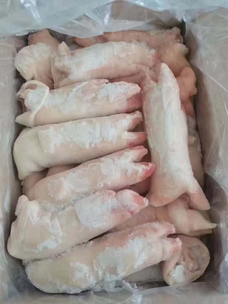 金锣产品