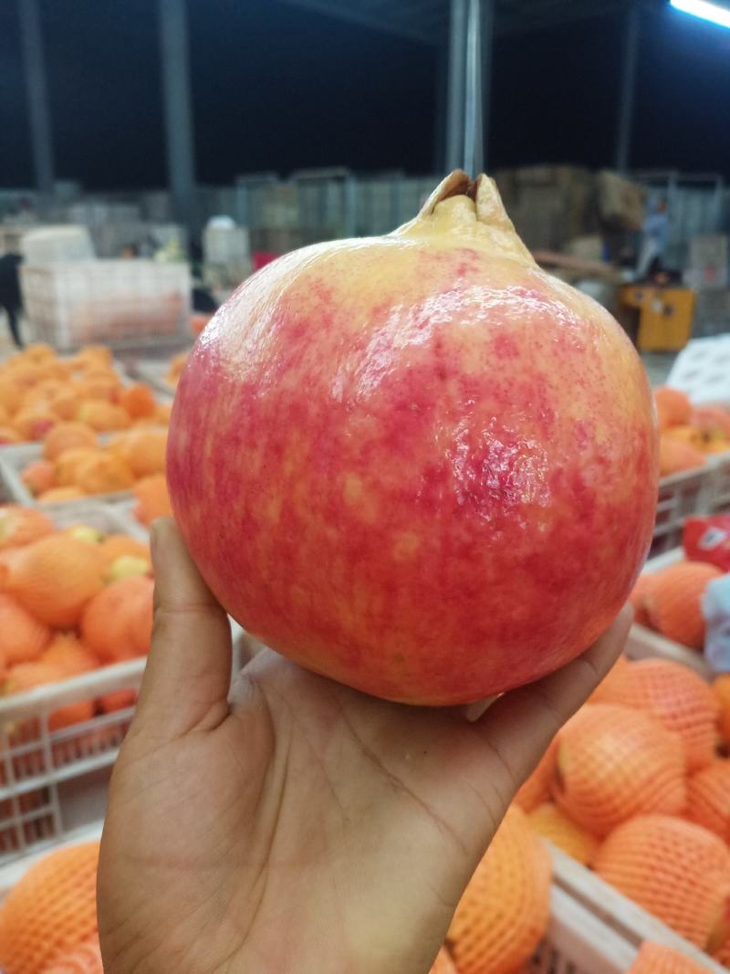 突尼斯软籽石榴