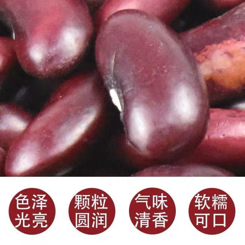 红芸豆红芸豆五谷杂粮豆