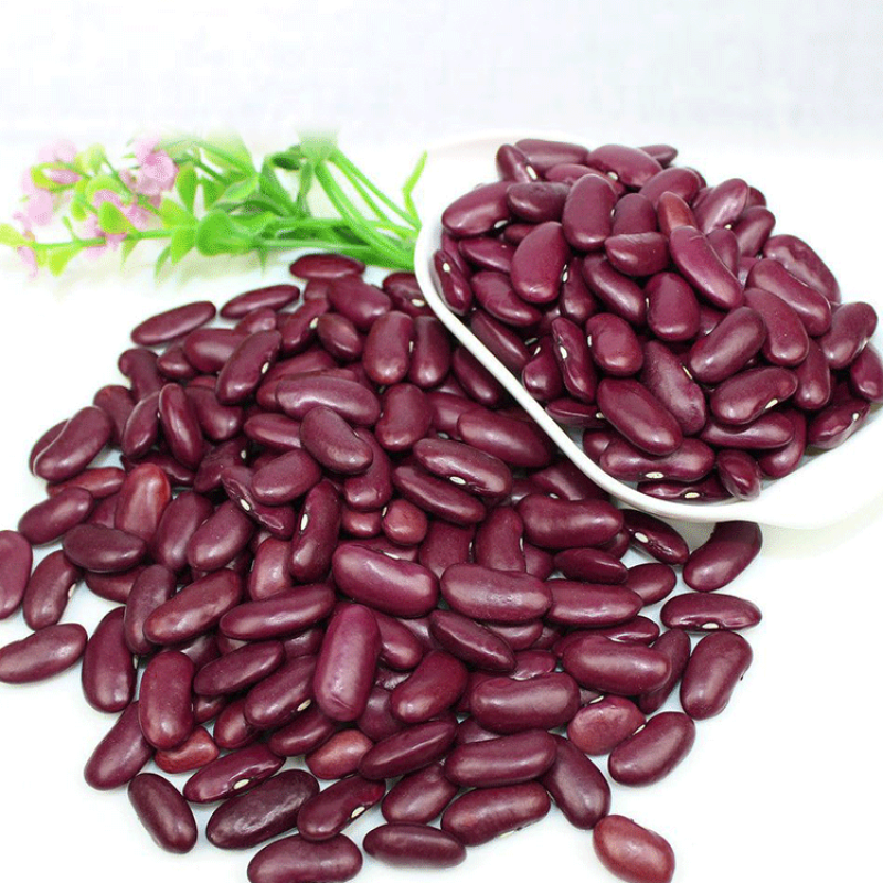 红芸豆红芸豆五谷杂粮豆