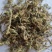 （热销）伸筋草一手货源严于品质实物拍摄祥泰药材栈欢迎购