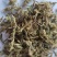 （热销）伸筋草一手货源严于品质实物拍摄祥泰药材栈欢迎购