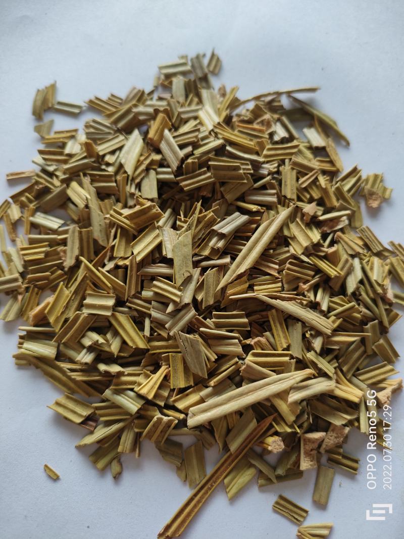 （热销）铁树叶全草类中药中药材批发零售量多从优祥泰药材