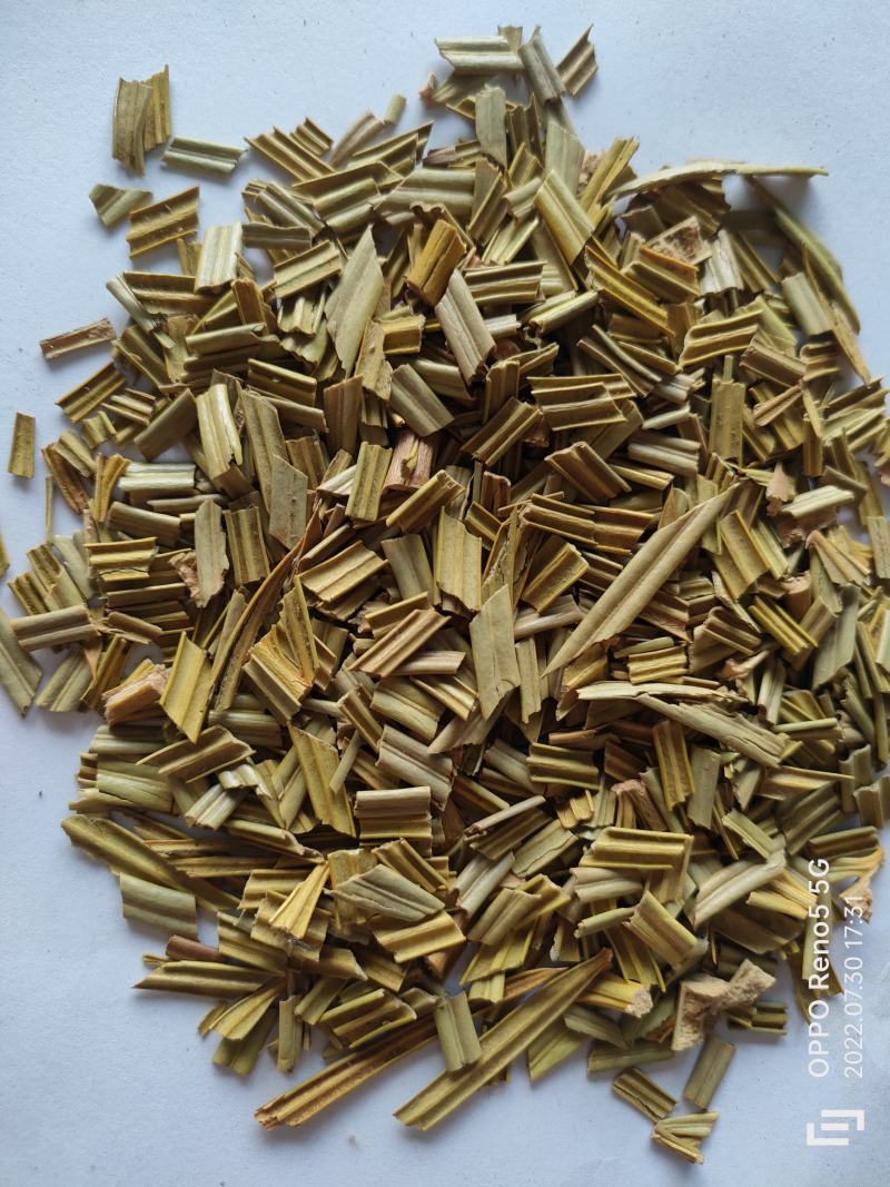 （热销）铁树叶全草类中药中药材批发零售量多从优祥泰药材