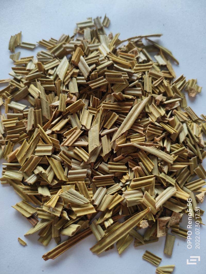 （热销）铁树叶全草类中药中药材批发零售量多从优祥泰药材