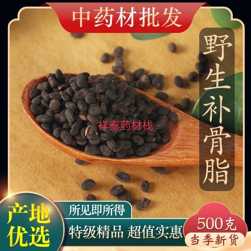 （热销）补骨脂一手货源货源充足量多从优产地大货祥泰药材
