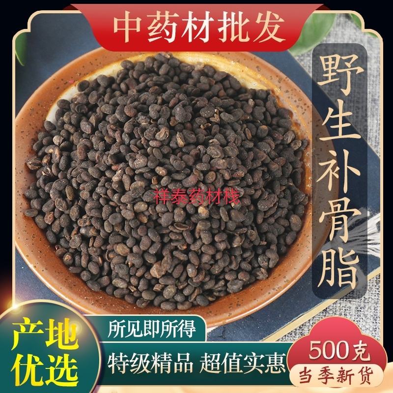 （热销）补骨脂一手货源货源充足量多从优产地大货祥泰药材