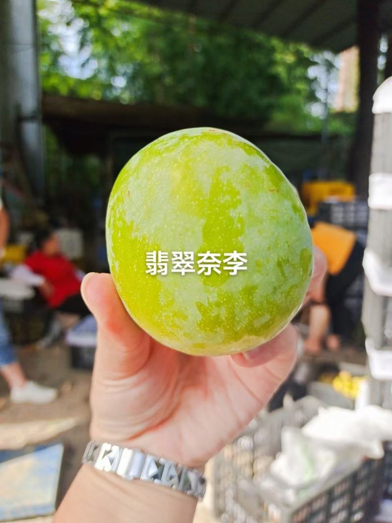 湖南文明特产翡翠奈李脱骨蜂糖李脆甜脆甜自家果园现摘现发