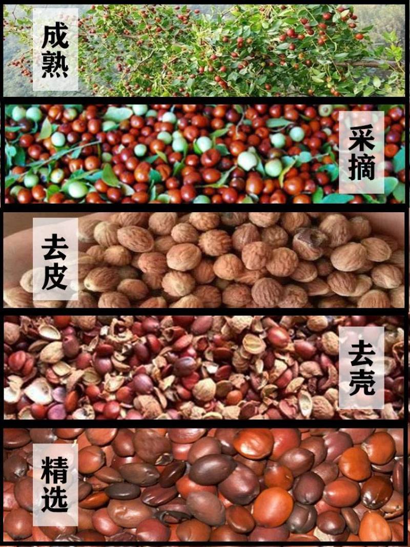 正品酸枣仁一手货源量大从优供应千种中药材一公斤起