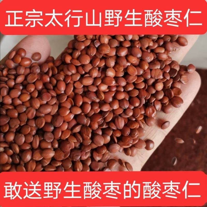 正品酸枣仁一手货源量大从优供应千种中药材一公斤起