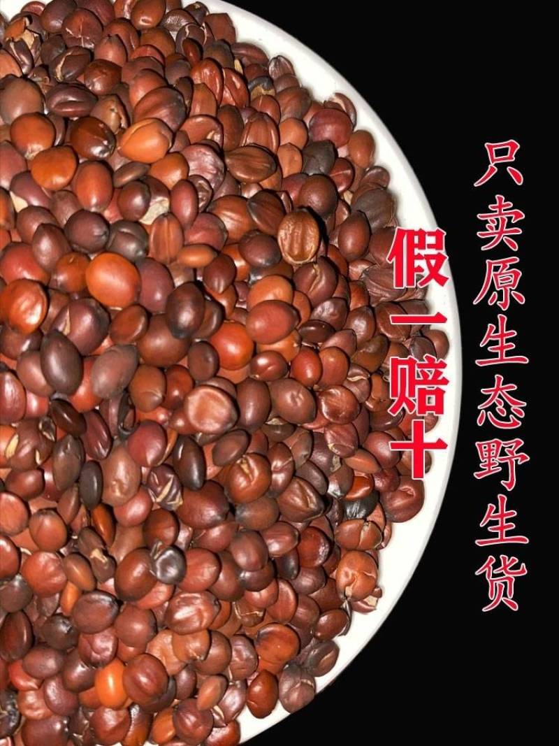 正品酸枣仁一手货源量大从优供应千种中药材一公斤起