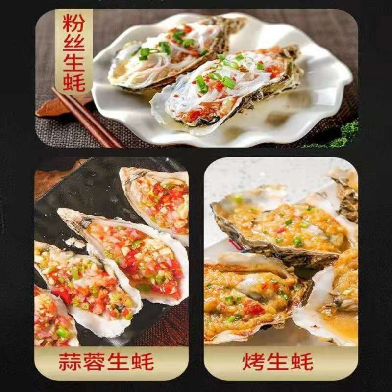 新鲜生蚝现货直供，品质上乘等您来
