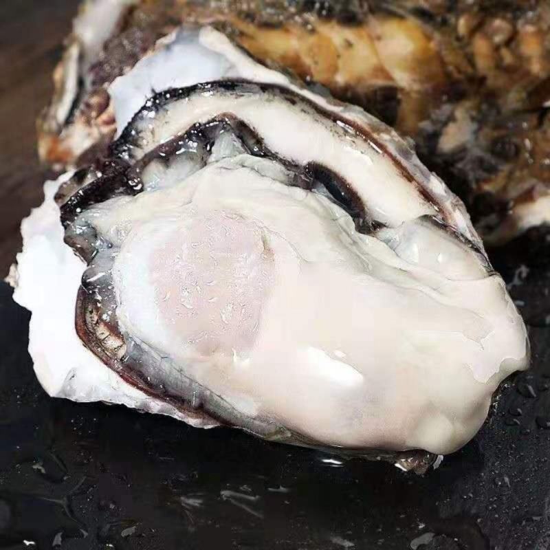 新鲜生蚝现货直供，品质上乘等您来