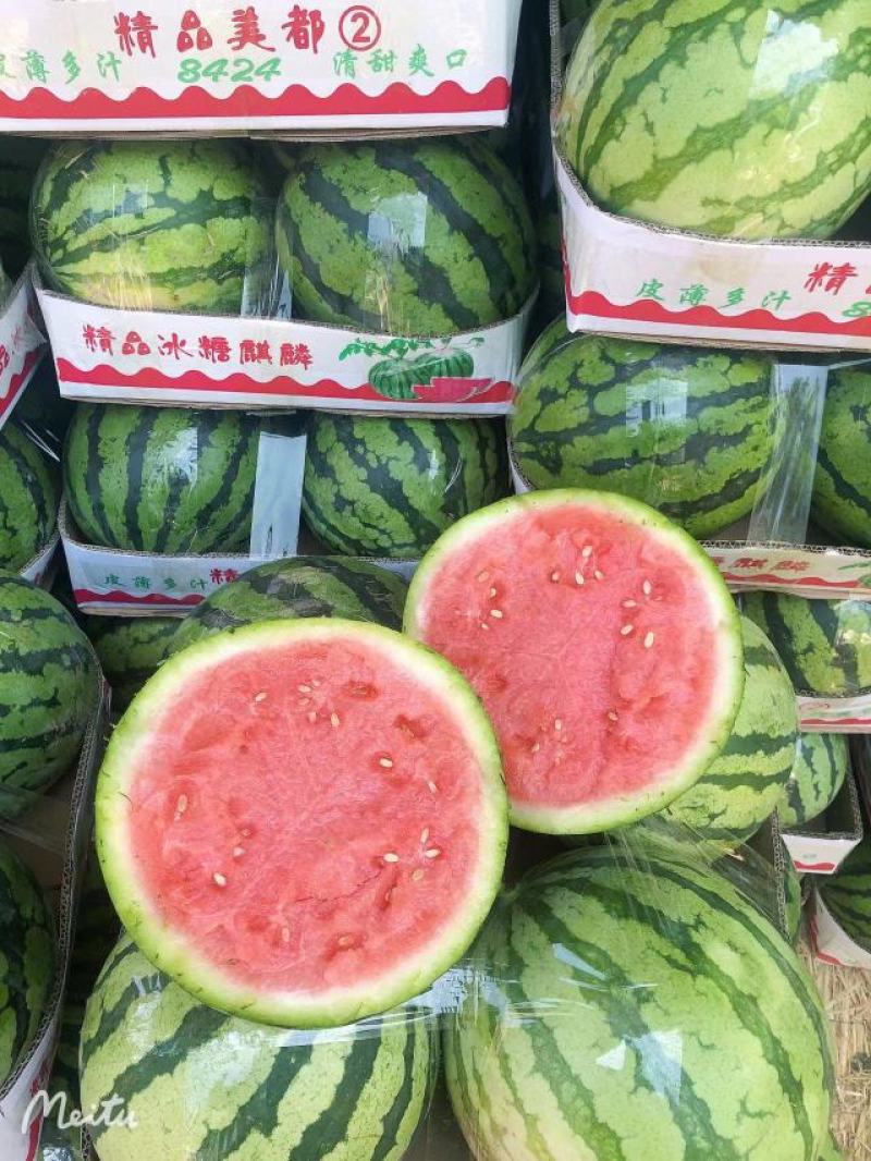 【热】河南精品美都西瓜大量上市，承接各地商超和批发商