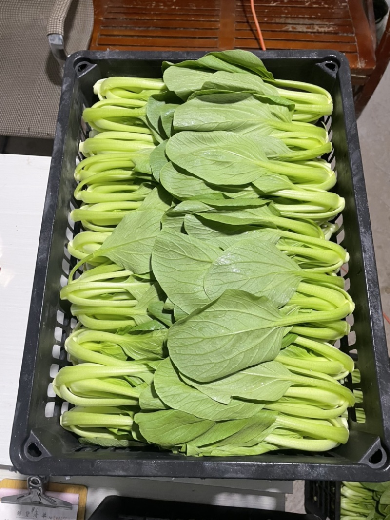 蚌埠市双城专业种植合作社