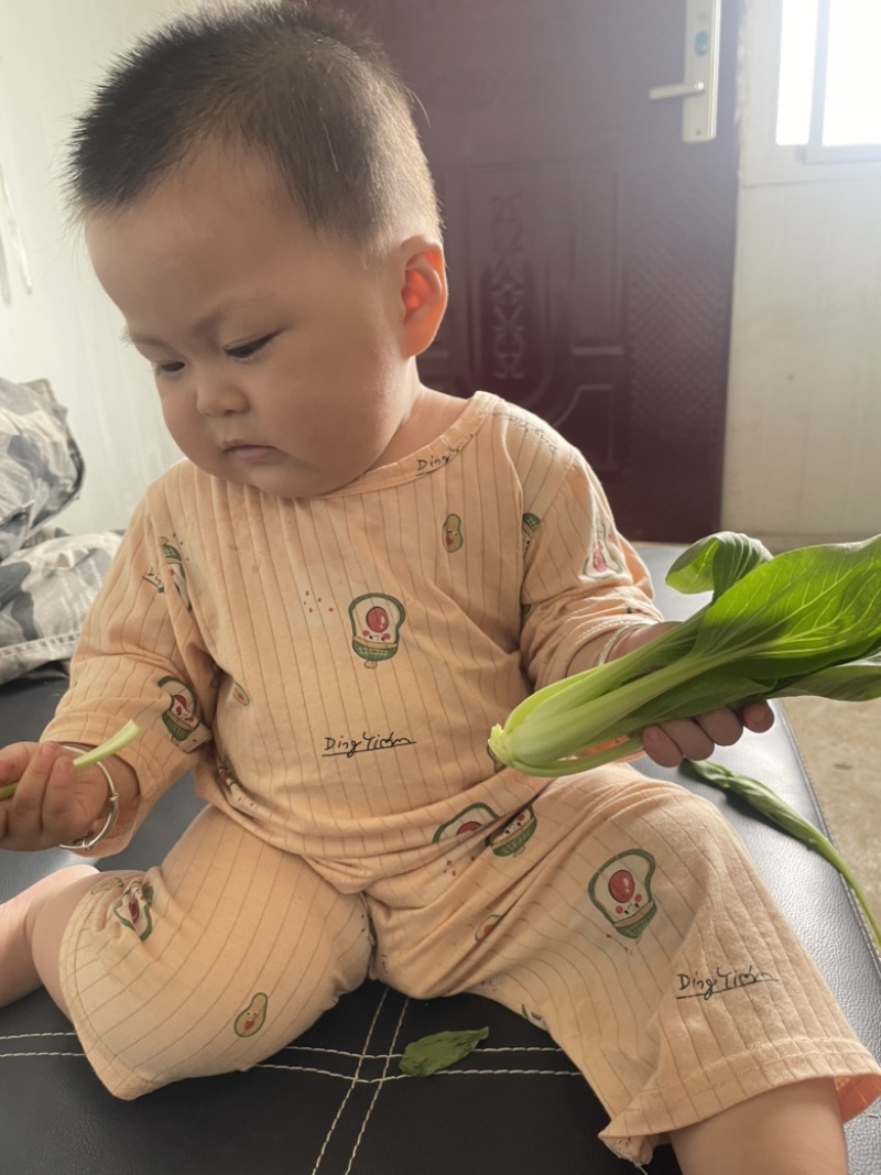 蚌埠市双城专业种植合作社