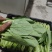 精品上海青。