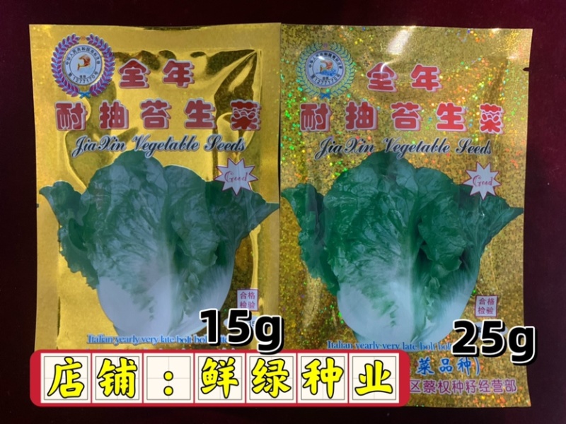 意大利全年耐抽苔生菜：爽脆味甜品质好、耐湿耐热耐抽苔