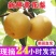 梨子皇冠梨翠冠一手货源，欢迎订购，支持发货