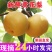 梨子皇冠梨翠冠一手货源，欢迎订购，支持发货