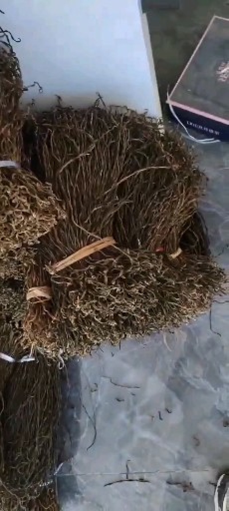 豆角大量供应干豇豆干豆角全国发货欢迎订货