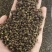 青花椒贵州青花椒2024新货特麻特香净椒干货批发
