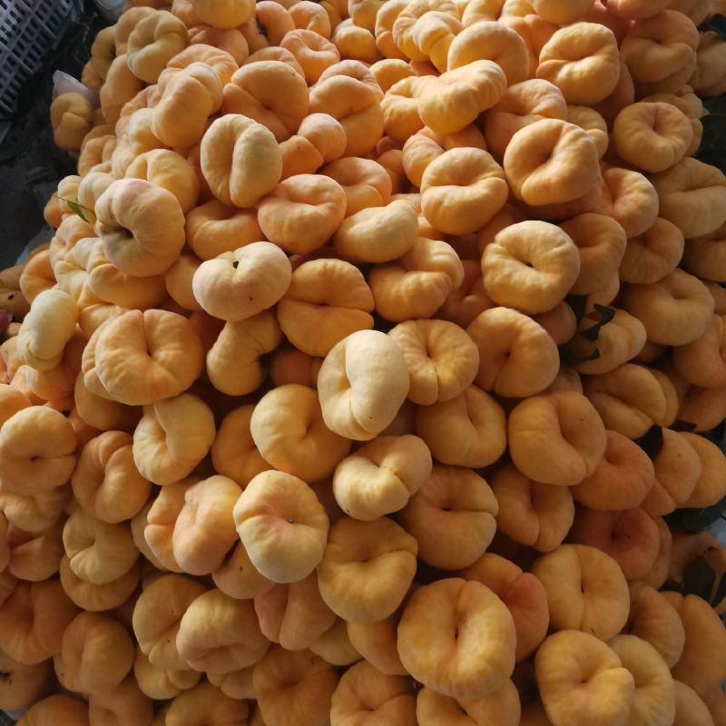 优选好货中潘十一大量上市精品果欢迎致电合作