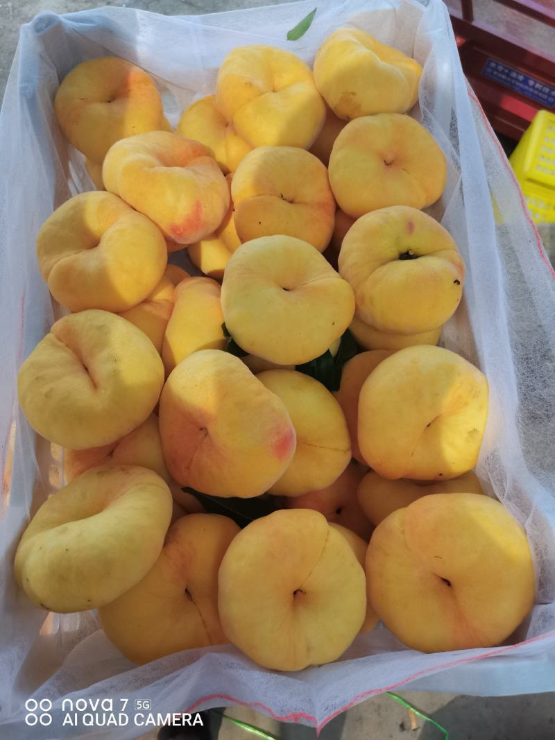 优选好货中潘十一大量上市精品果欢迎致电合作