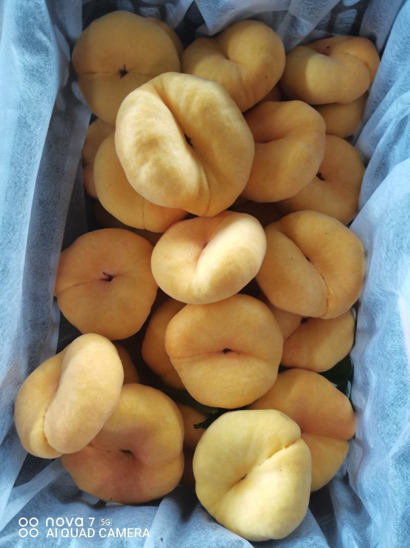 优选好货中潘十一大量上市精品果欢迎致电合作