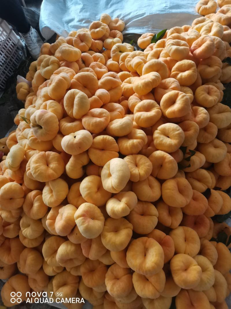 优选好货中潘十一大量上市精品果欢迎致电合作