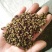 青花椒贵州青花椒，净椒干货批发特香特麻2024新货，