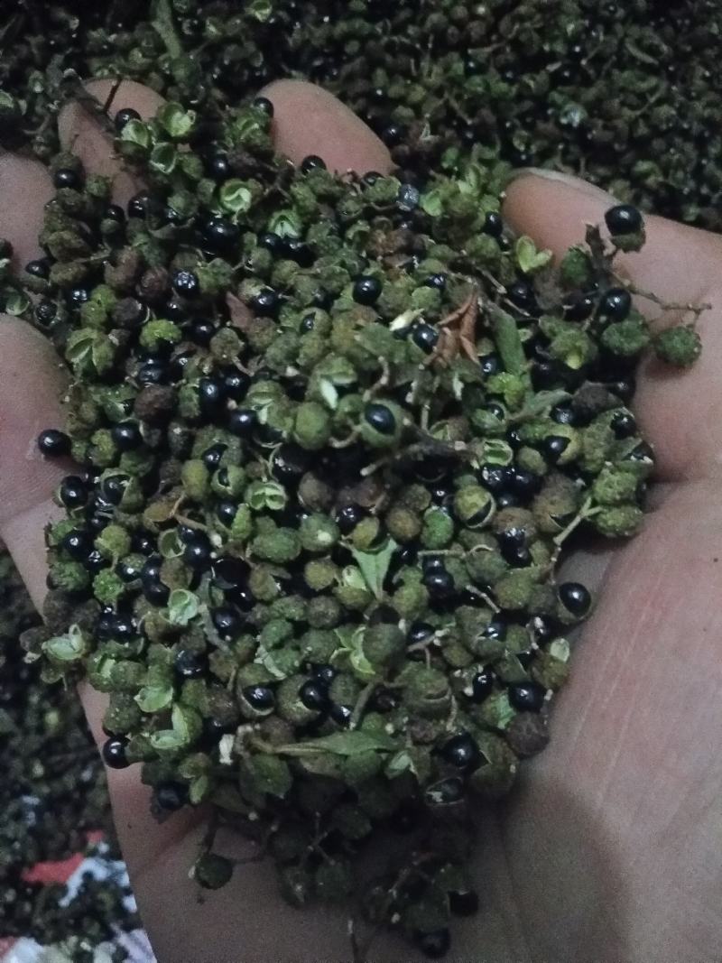 青花椒贵州青花椒，净椒干货批发特香特麻2024新货，