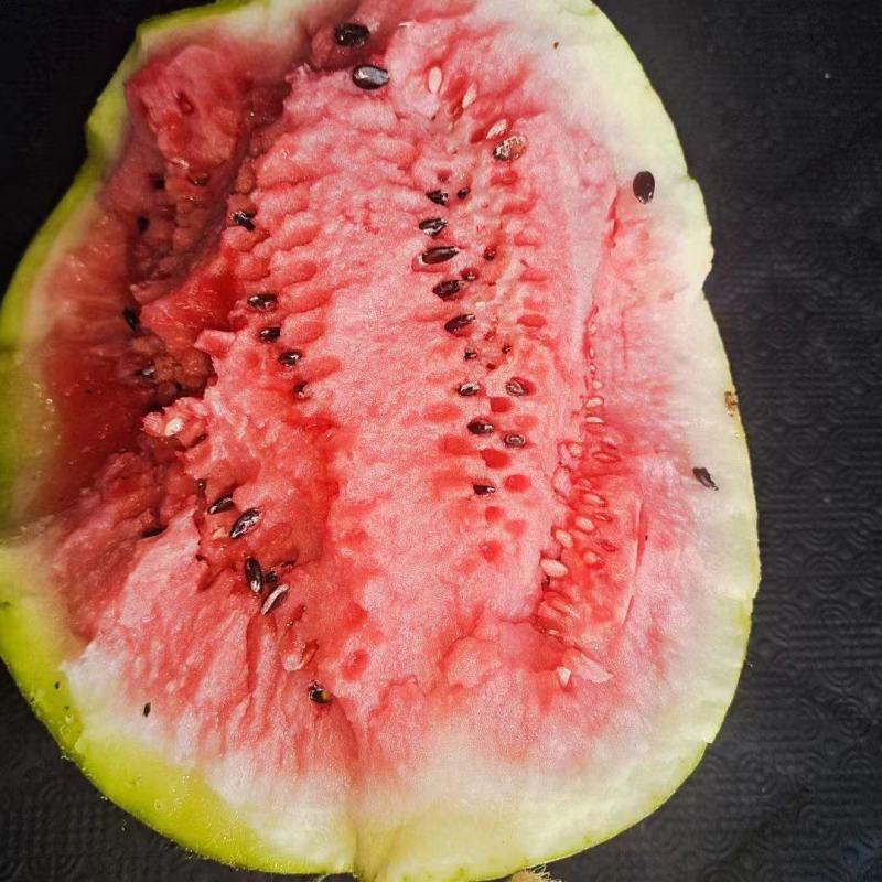 西瓜李子大量货源
