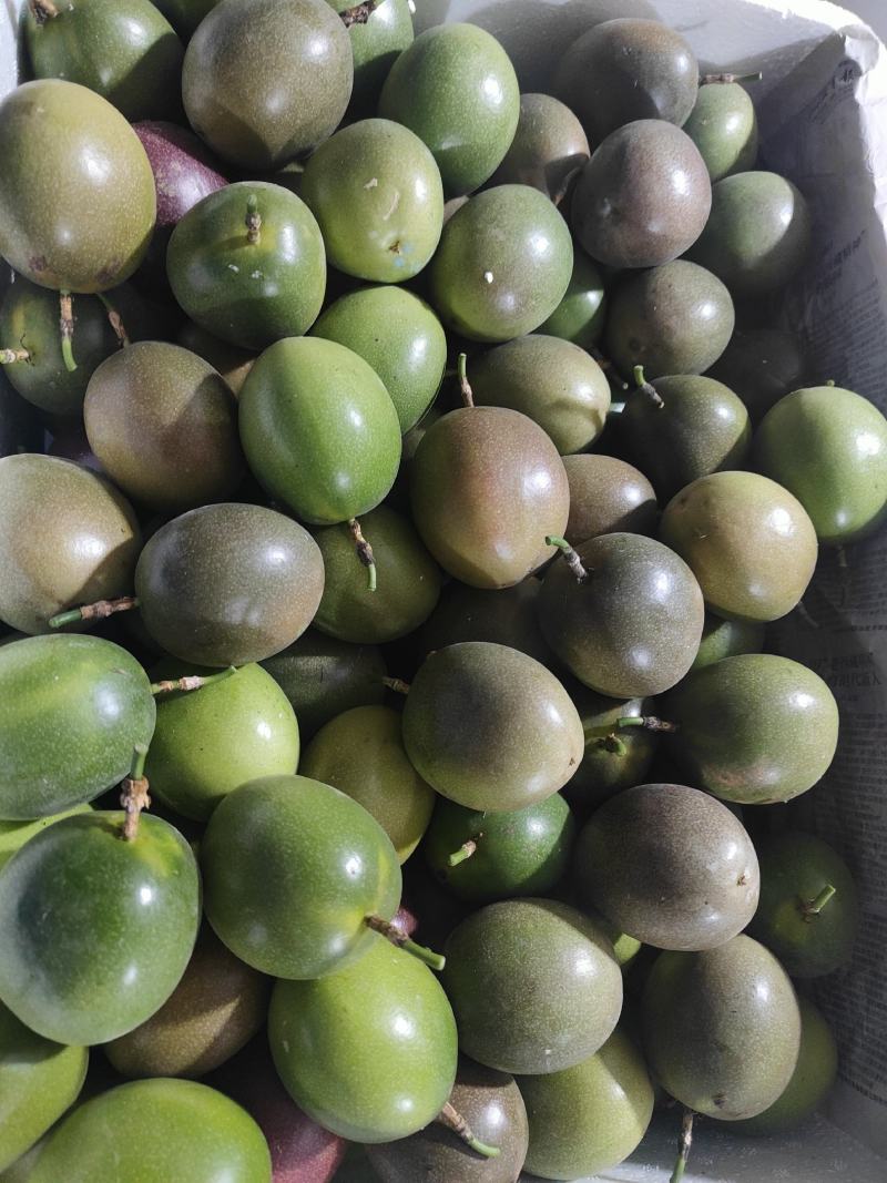 大量出售百香果