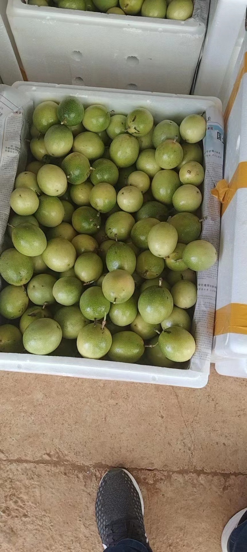 文山钦蜜9号大量上市黄金百香果产地直发一件代发