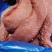 三号肉里脊肉去筋膜三号板