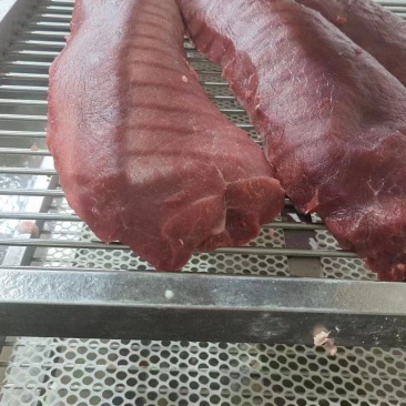 三号肉里脊肉去筋膜三号板