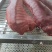 三号肉里脊肉去筋膜三号板